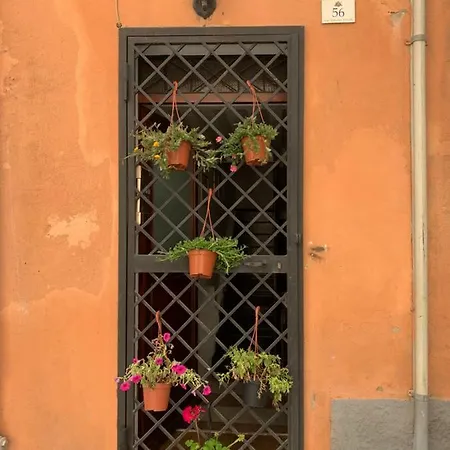 Stella Marina Cagliari